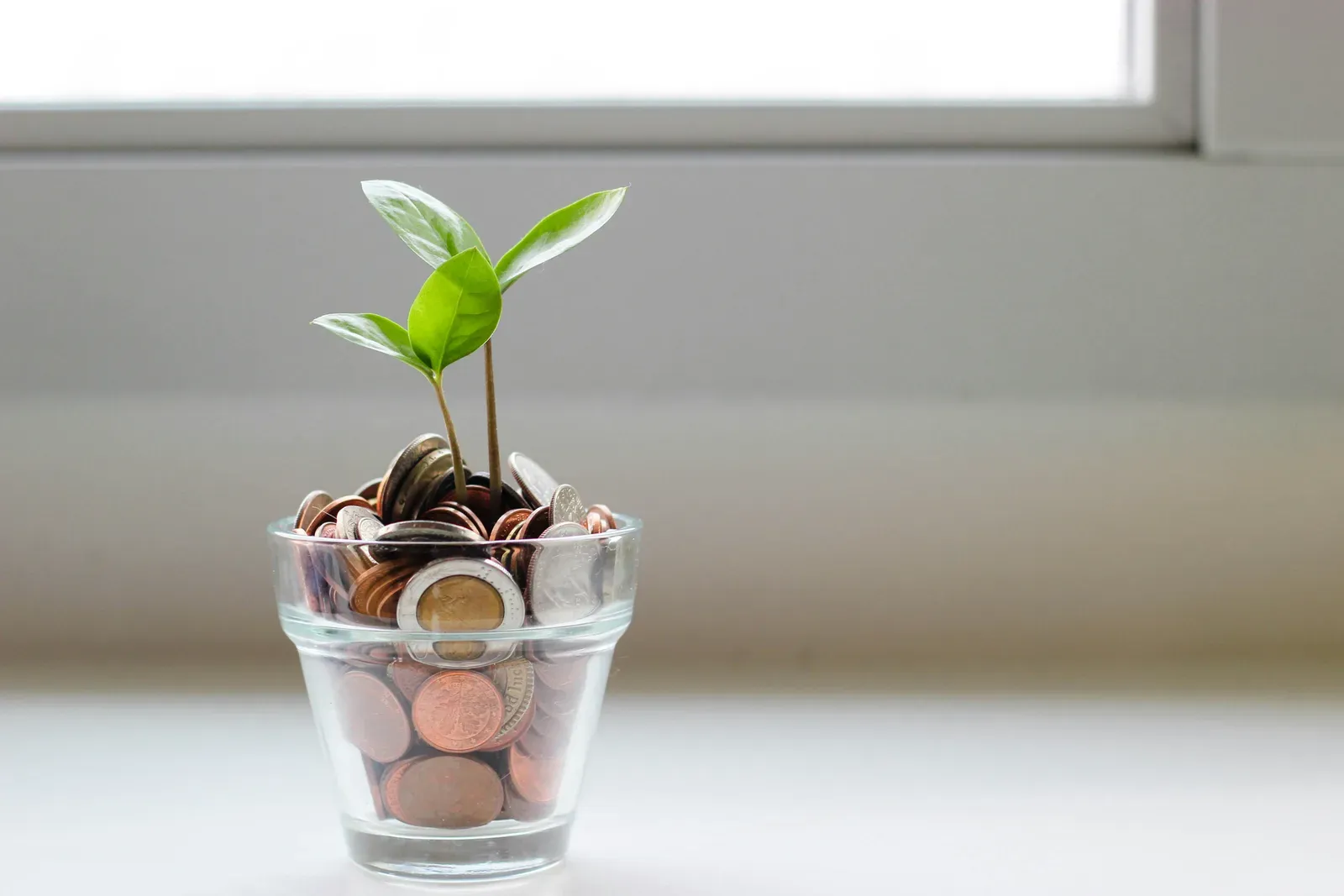 A glass jar of coins with a small plant growing from the top
